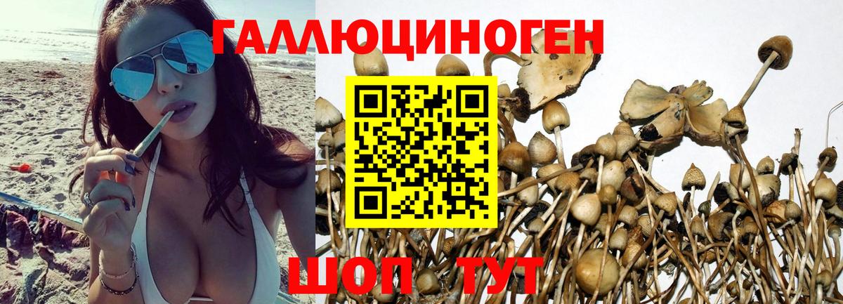 Галлюциногенные грибы прущие грибы Кимры