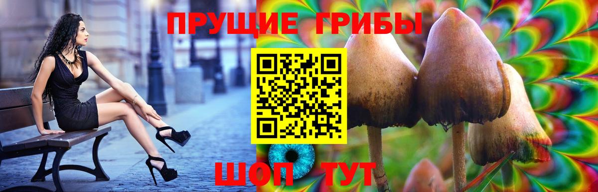Галлюциногенные грибы ЛСД  Вход с VPN  Галлюциногенные грибы MAGIC MUSHROOMS  Кимры 